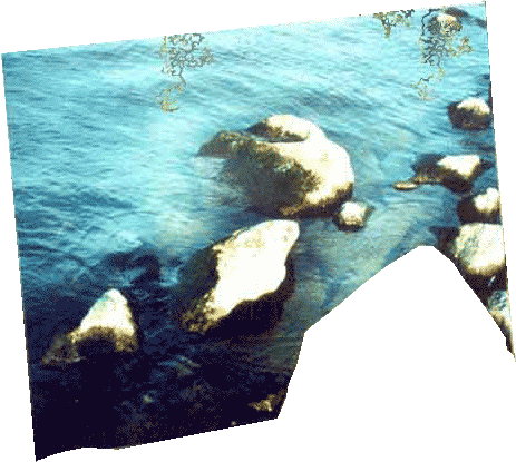 Informatie over de workshops van Atelier Ria Manshanden